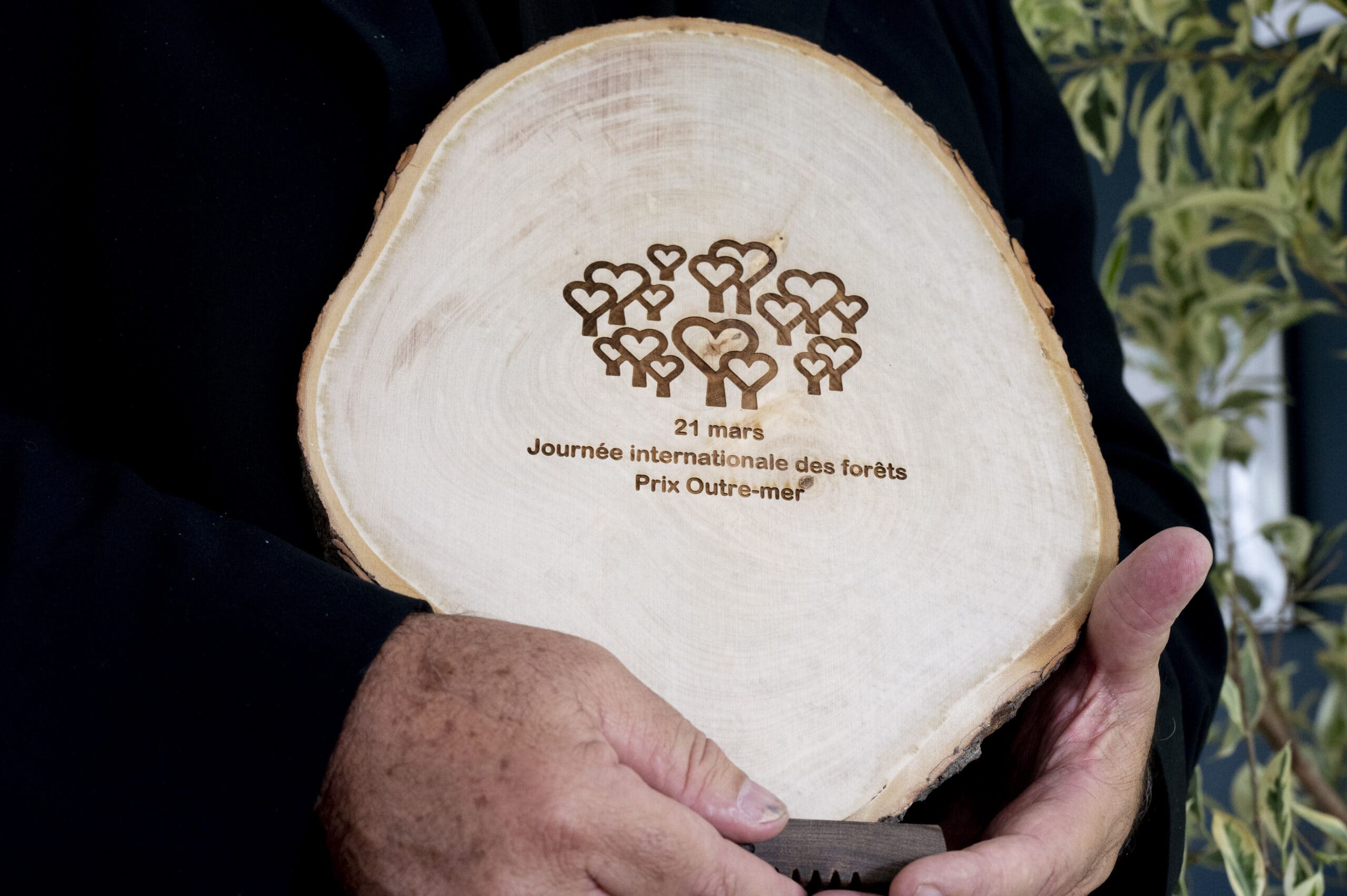 You are currently viewing Journée Internationale des Forêts : EDDEN, lauréate du Trophée La Forêt s’invite à l’Ecole